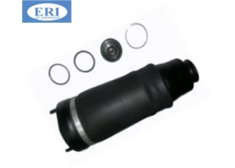 Пневмобаллон передний (правый, левый) Mercedes R-Class W251 ERI