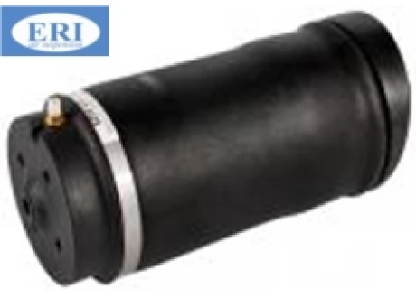 Пневмобаллон задний правый левый Mercedes R-Class W251