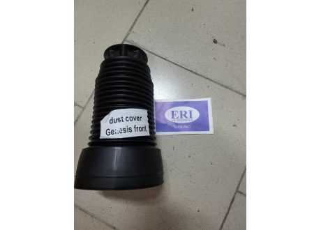 Передний пыльник Hyundai Genesis