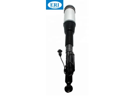 Задний амортизатор Mercedes W220